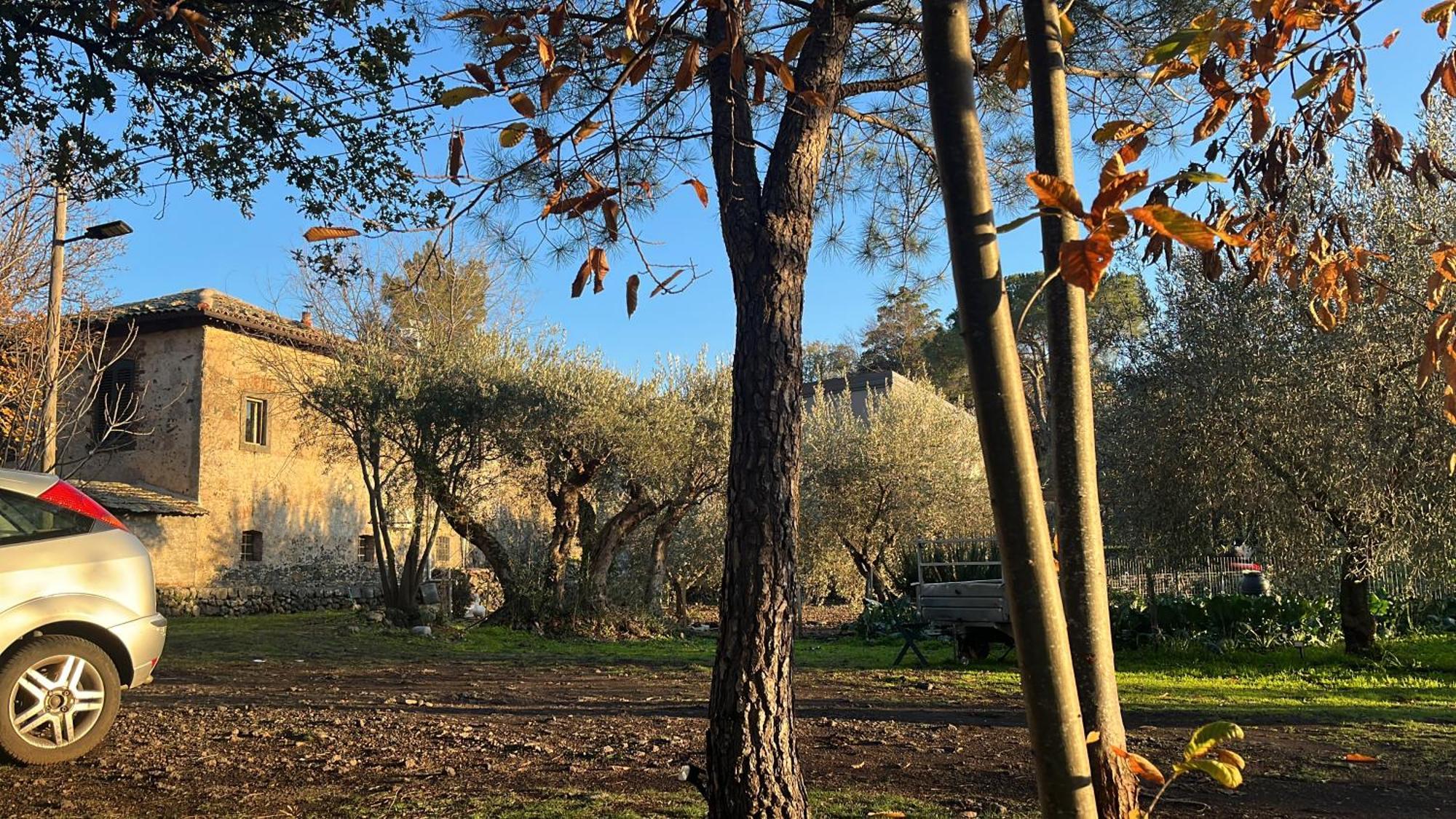 Poggio Roseto Vila Randazzo Exterior foto